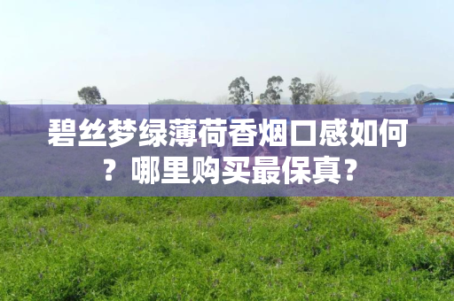 碧丝梦绿薄荷香烟口感如何？哪里购买最保真？
